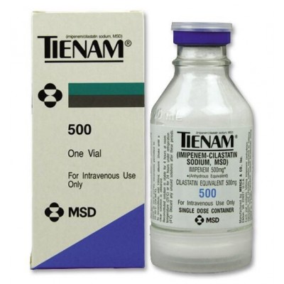  TIENAM I.V. 500 MG C/1 FCO AMP ANT	 