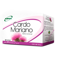 Cardo Mariano (Silybum marianum)