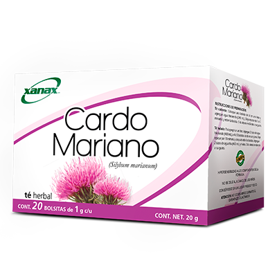 Cardo Mariano (Silybum marianum)