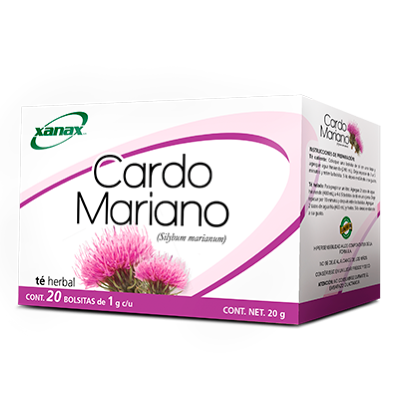 Cardo mariano (Silybum marianum) 